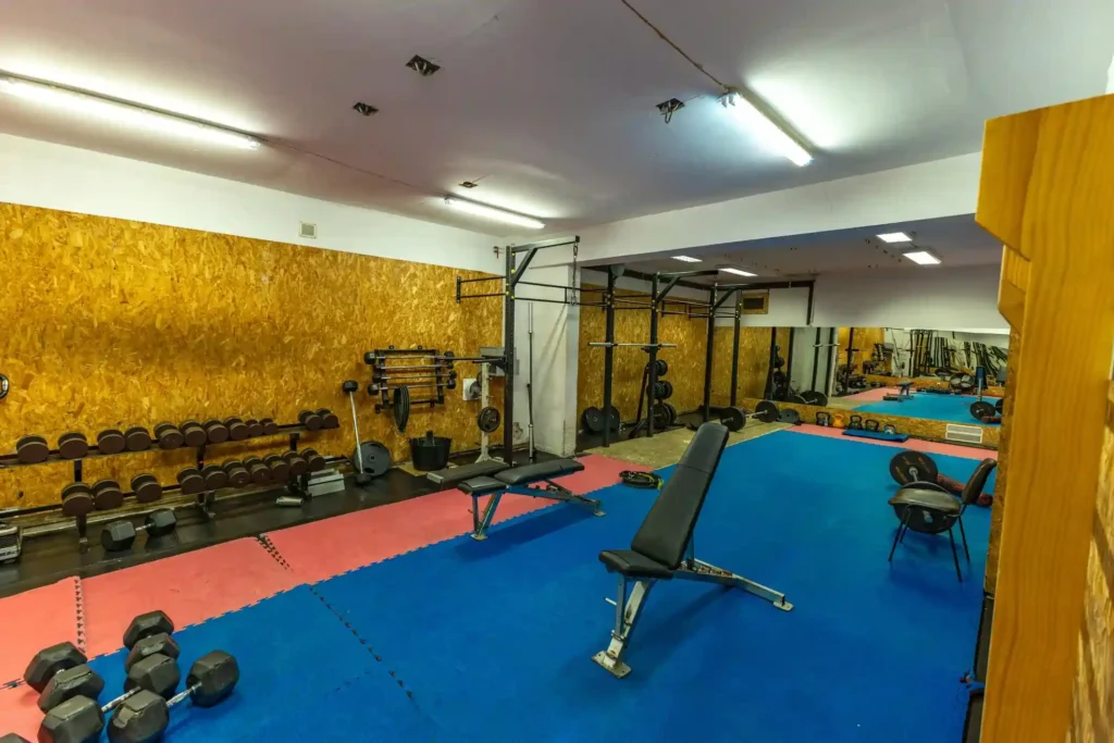 Small Home Gym Basement Ideas