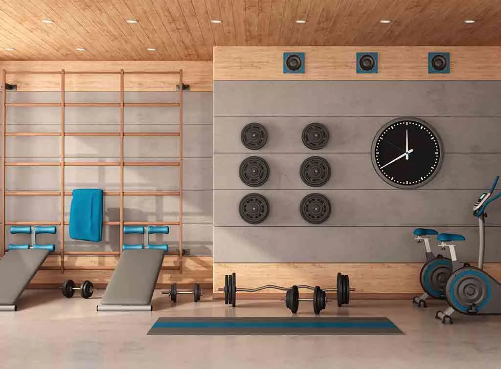 Garage To Gym Conversion Ideas